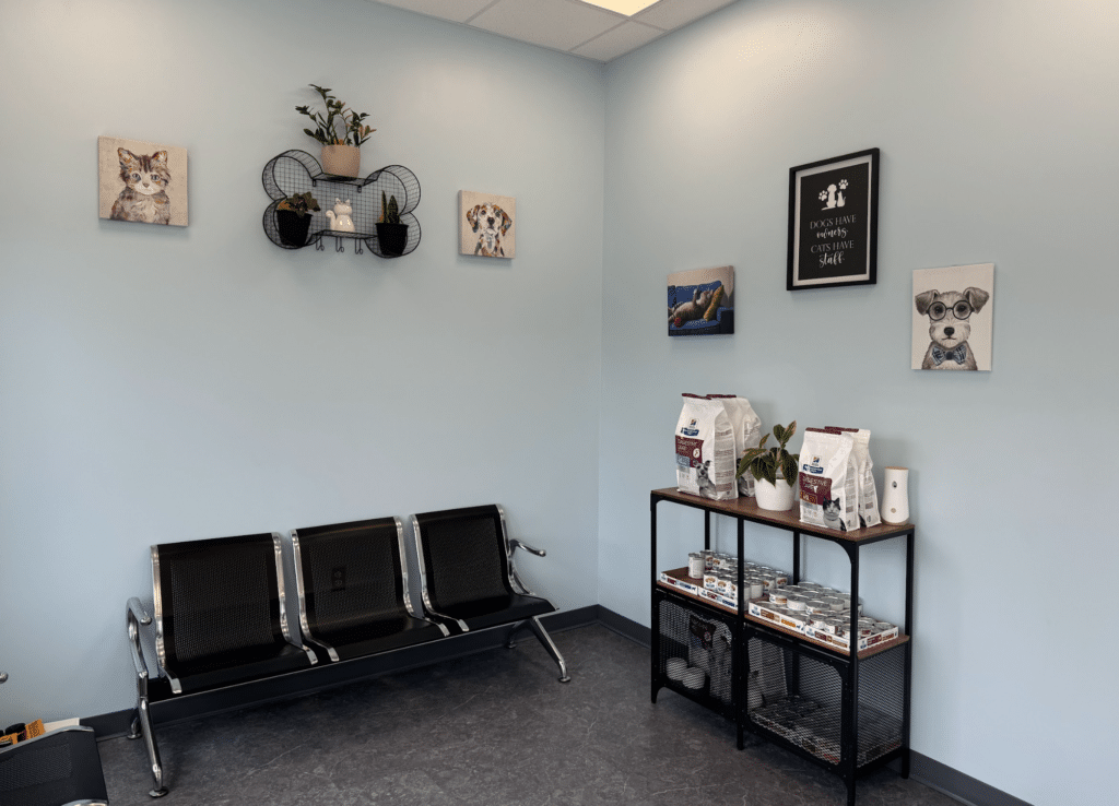 Waiting area with chairs, animal-themed wall art, and a shelf with pet supplies.