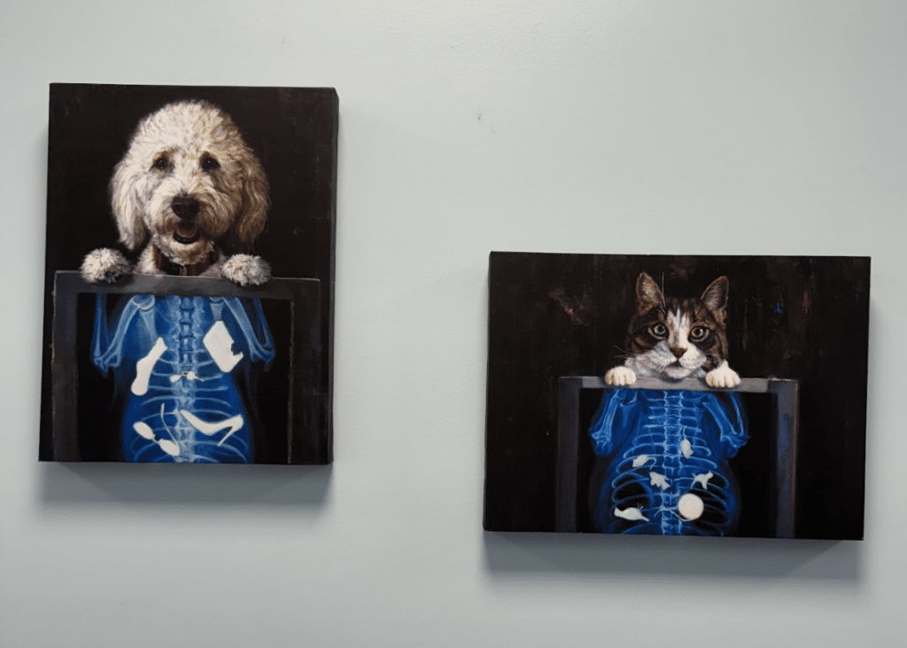 Two paintings on a wall depicting a dog and a cat, each peeking over an X-ray of their torso.