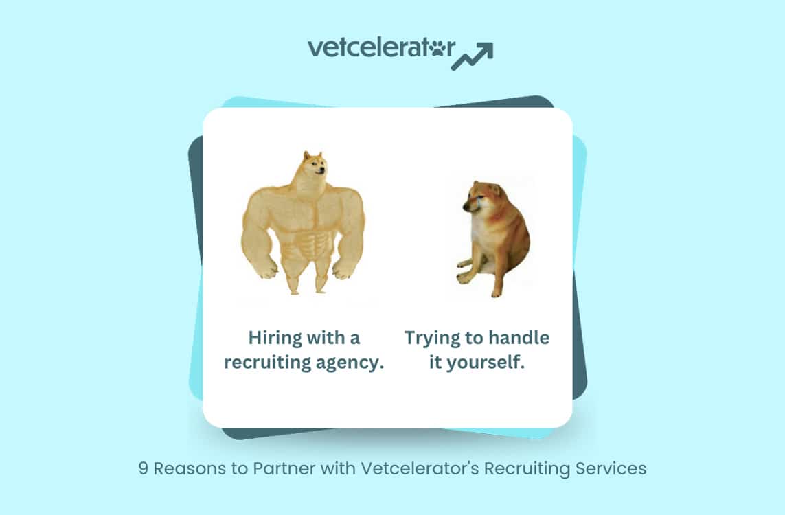 Illustration comparing muscular and regular dogs representing hiring methods