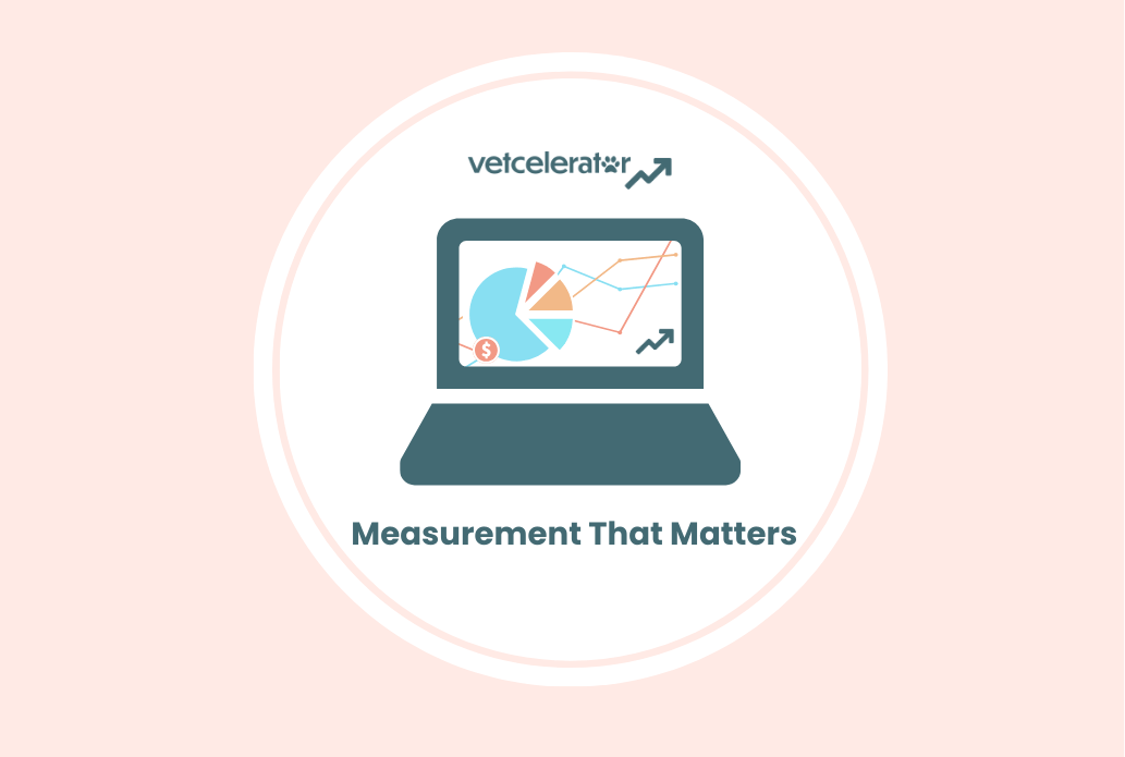 Laptop screen showing pie charts and trend lines representing conversion tracking and ROI metrics for veterinary digital marketing.