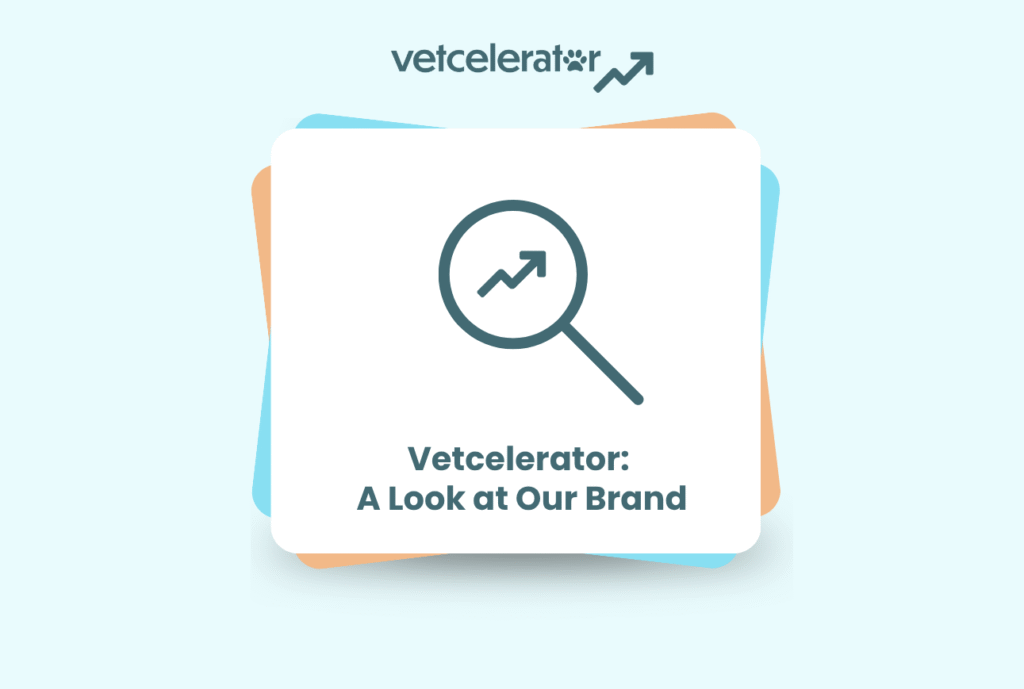 Vetcelerator: A Look at Our Brand