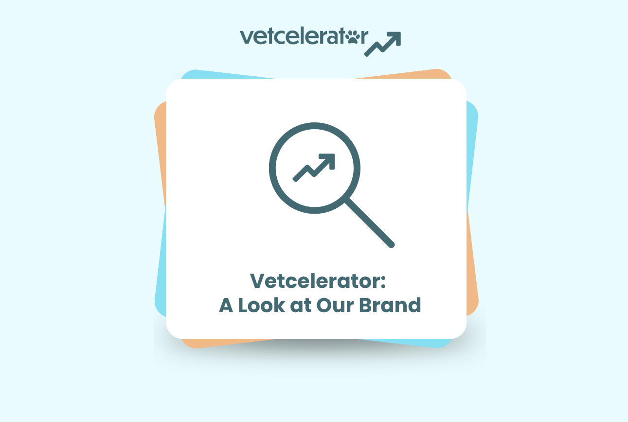 Vetcelerator: A Look at Our Brand