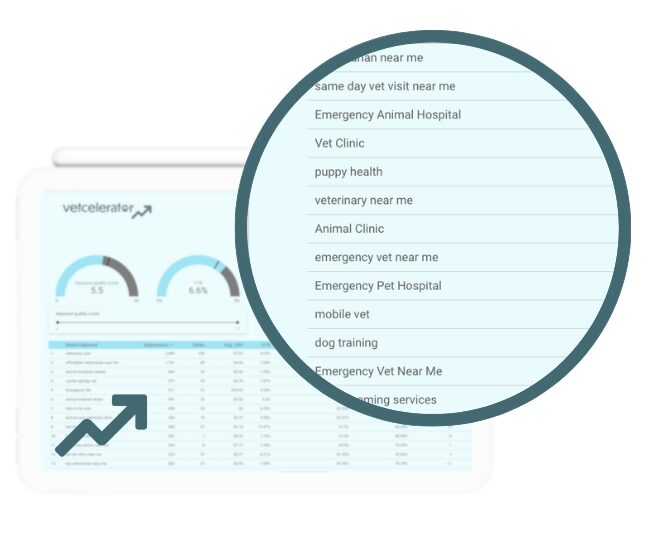 Vetcelerator dashboard displaying traffic sources and ad performance data