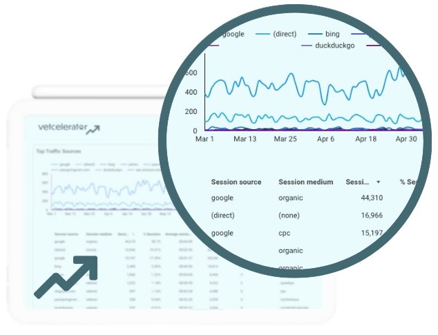 Veterinary digital dashboards displaying website traffic sources