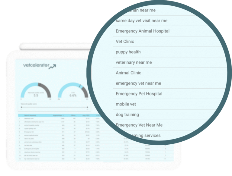 Digital marketing dashboard for veterinary services with search data and metrics.