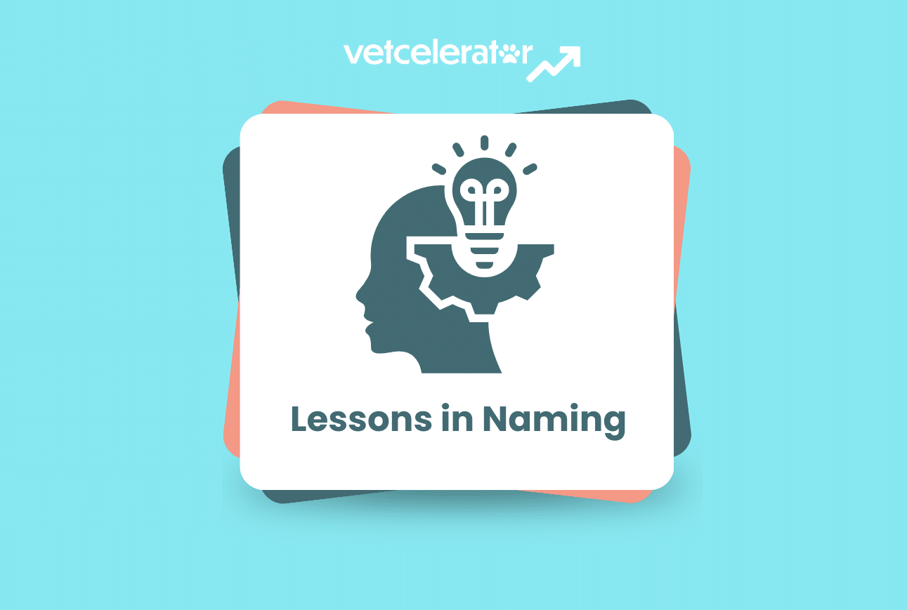 Illustration of a human head silhouette with a lightbulb and gears, titled "Lessons in Naming."