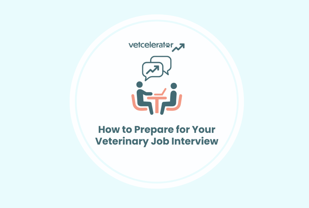 Illustration of a veterinary job interview preparation guide.