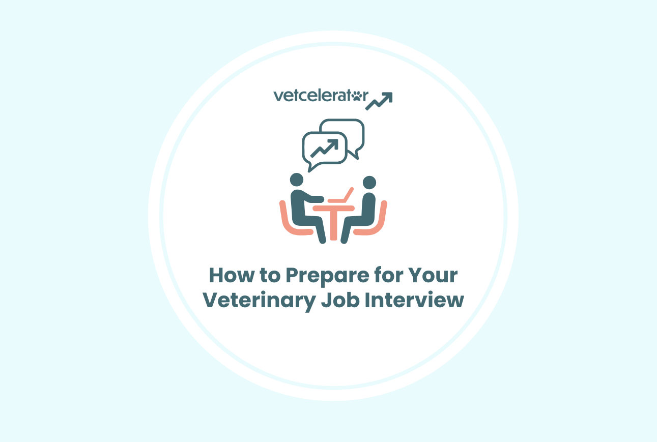 Illustration of a veterinary job interview preparation guide.