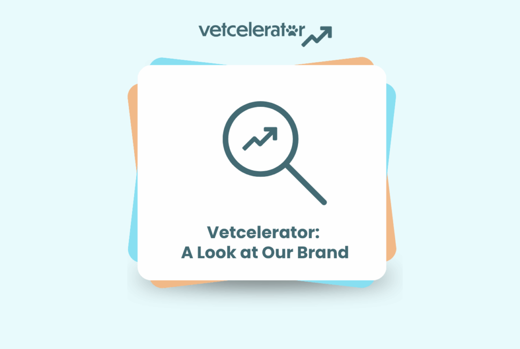 Vetcelerator: A Look at Our Brand