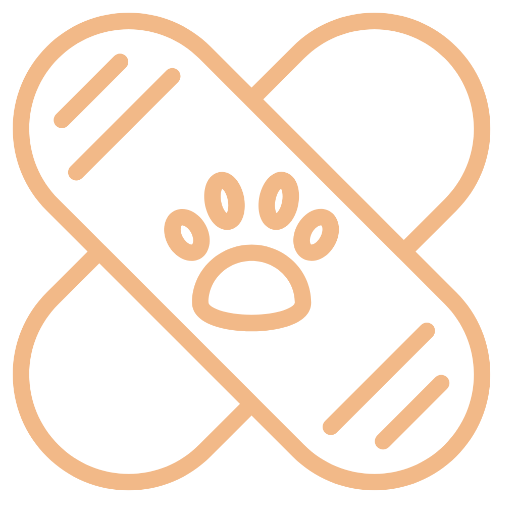 Stronger Continuity of Care