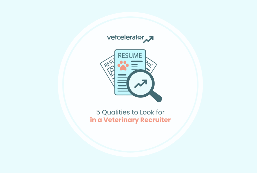 Graphic of a resume and magnifying glass with text about veterinary recruiter qualities.
