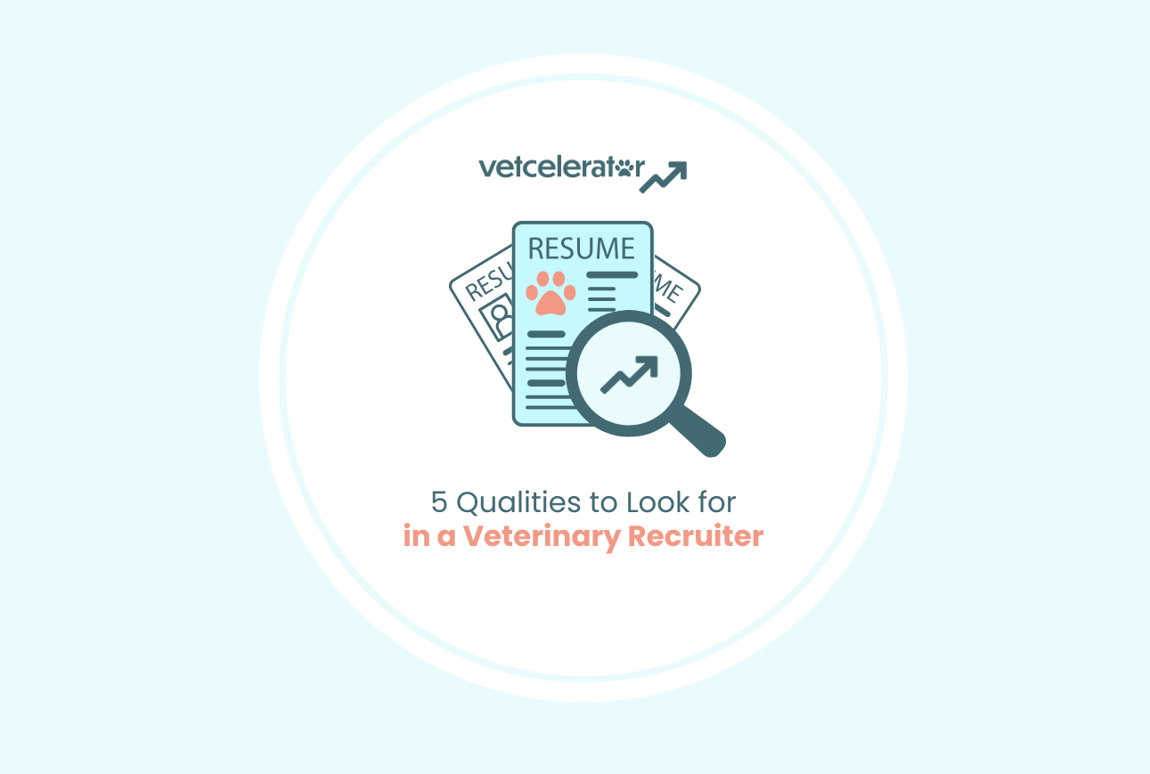 Graphic of a resume and magnifying glass with text about veterinary recruiter qualities.