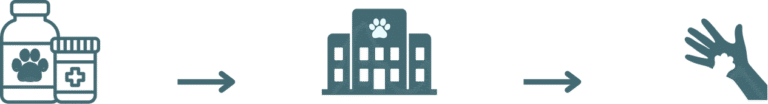 Icons depicting a pet in a carrier, a building with a paw print, and a waving hand.
