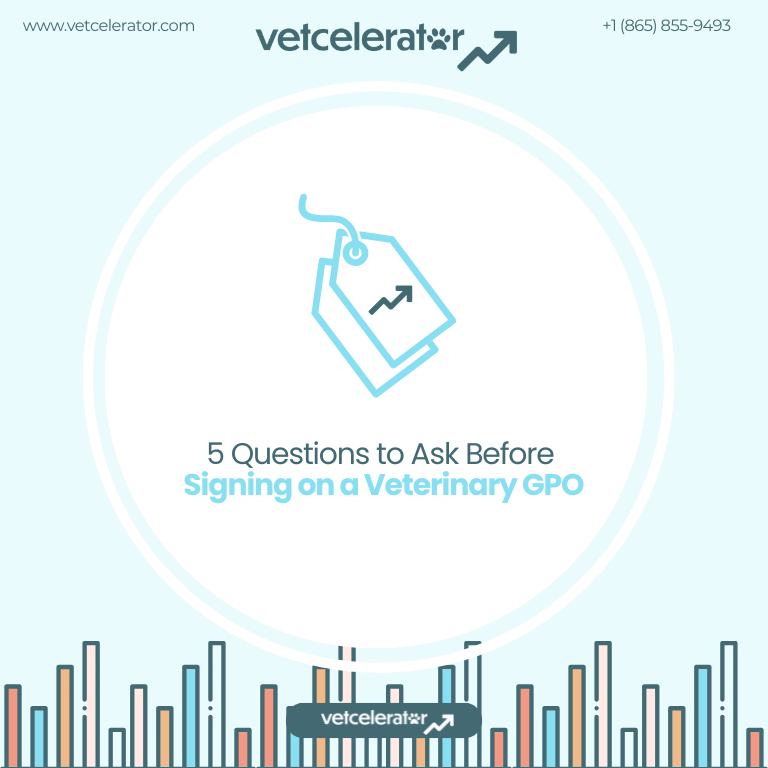 5 Questions to Ask a Veterinary GPO Before Signing On