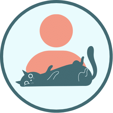 A gray cat playfully lying on its back under a simple depiction of a pink setting sun.