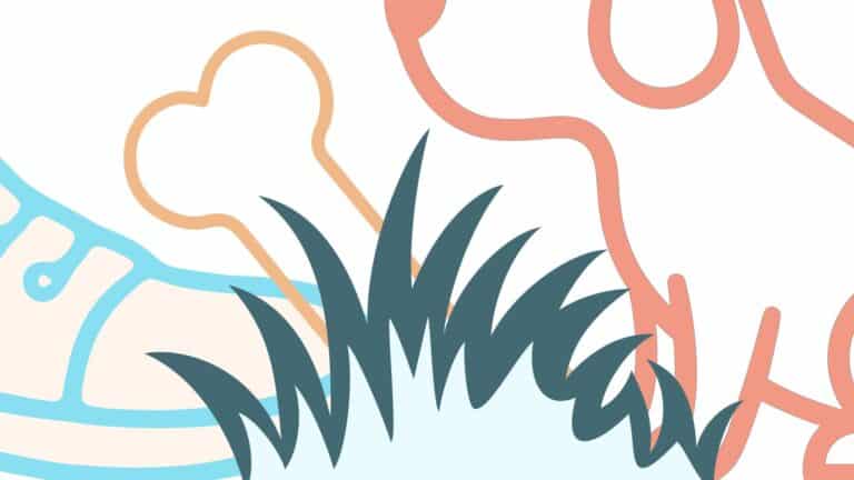 dog burying a bone which veterinary clinic designers should not do