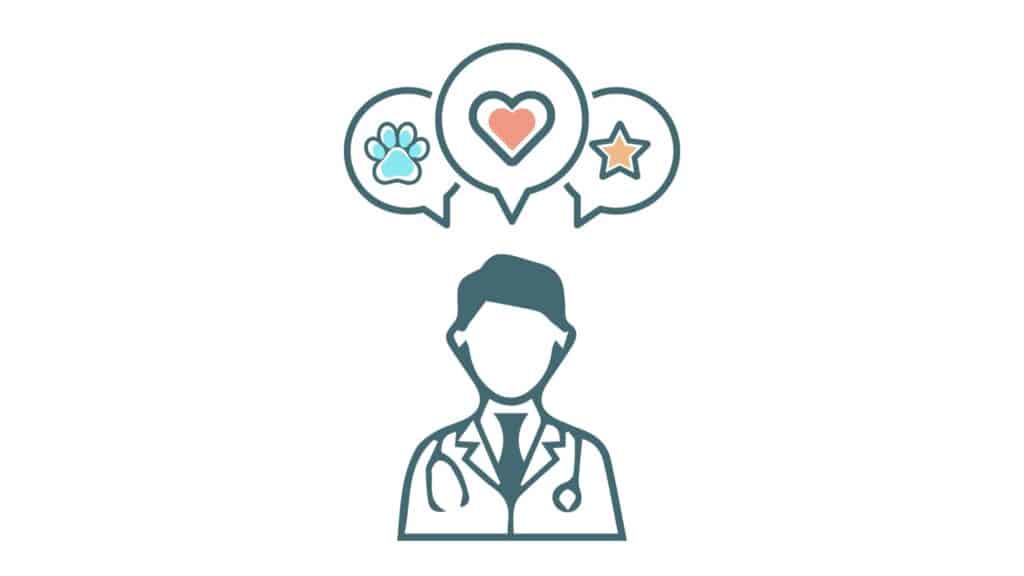 veterinarian discussing designing a new veterinary practice