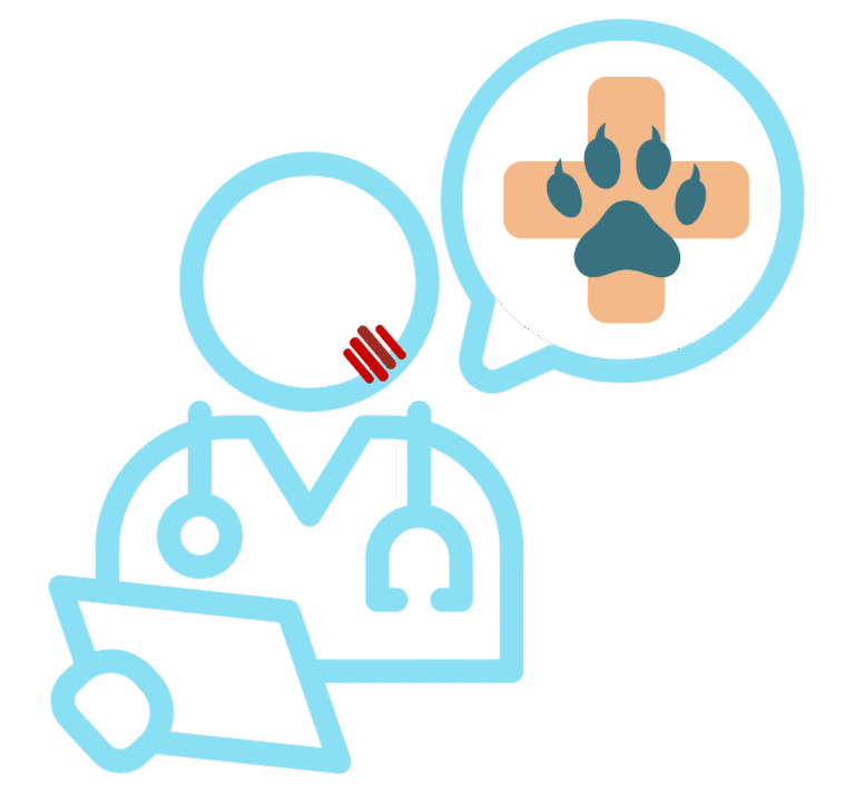 Veterinarian with cat scratch marks checking documents for supplemental accident insurance